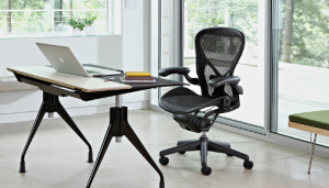 The Best Office Chairs In The World For Lower Back Pain Relief