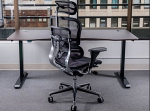 The Best Office Chairs In The World For Lower Back Pain Relief